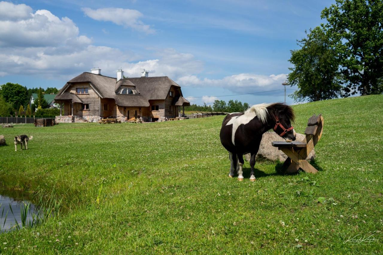 Bed and Breakfast Siedlisko Wigry Rosochaty Rog Exterior foto